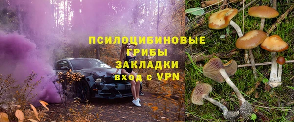 шишки Алзамай