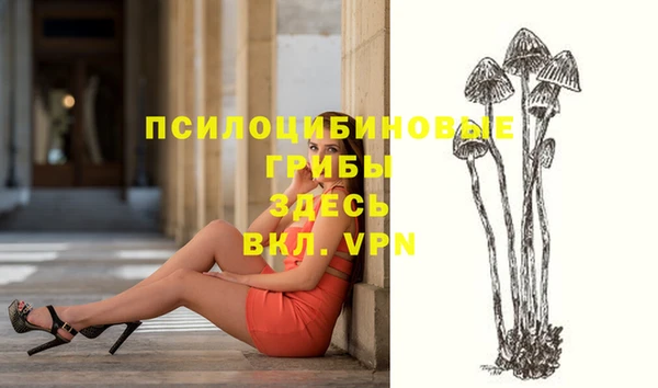 шишки Алзамай