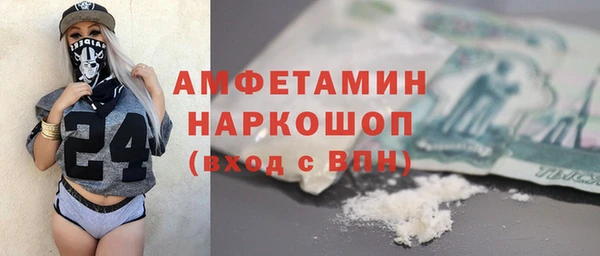 индика Алексин