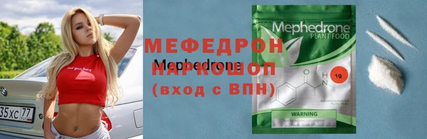индика Алексин