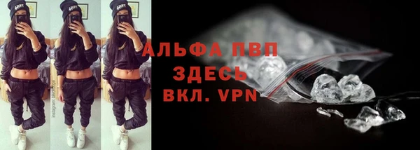 индика Алексин