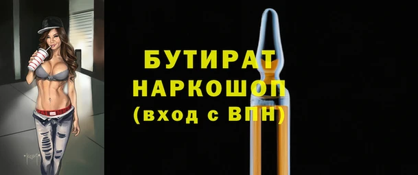 индика Алексин