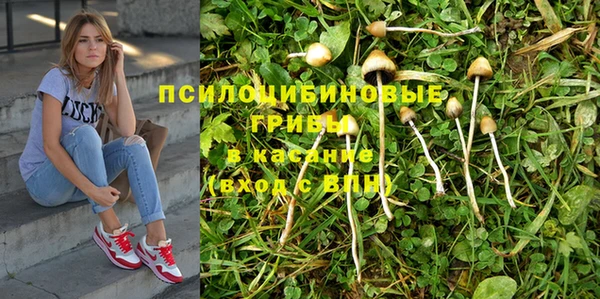 индика Алексин