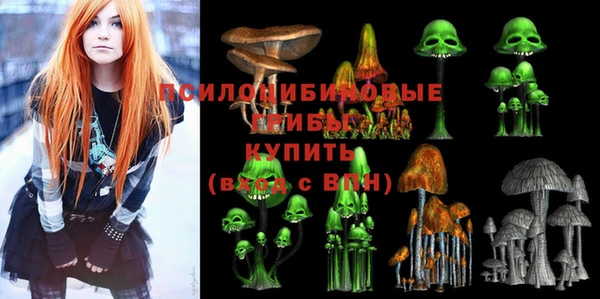 индика Алексин