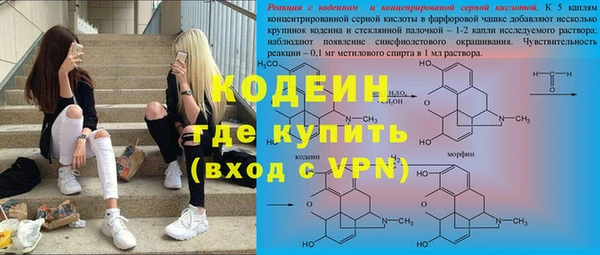 индика Алексин