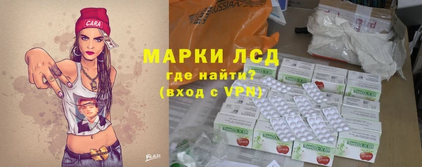 индика Алексин