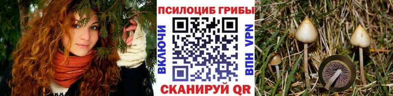 Псилоцибиновые грибы ЛСД Алупка